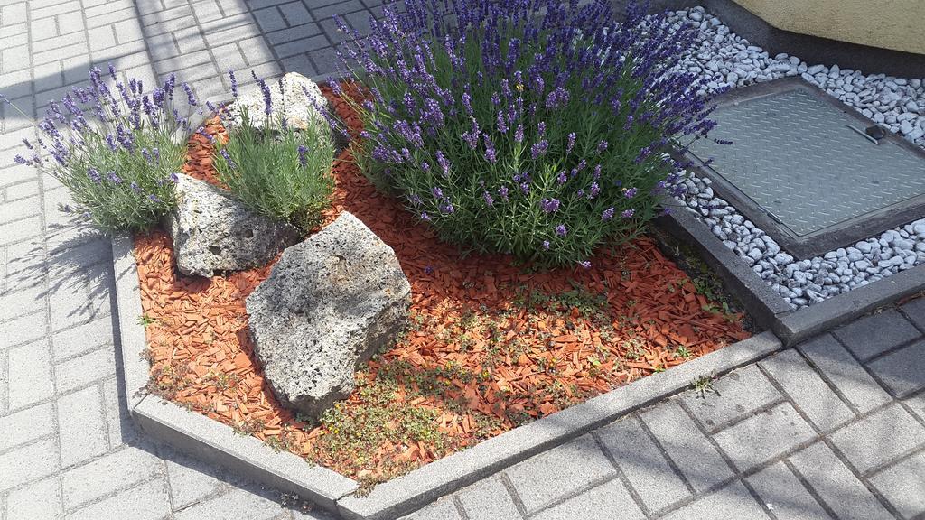 Hajas Familia Kiado Szobak Balatonmariafurdo